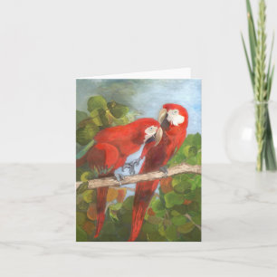 Carte de note - Oiseaux tropicaux