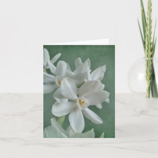 Carte de note Paperwhite Narcissus (Devant)