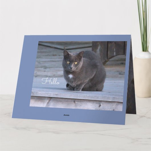 Carte de note papier Hello (Dos)