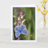 Carte de note - Papillon bleu commun masculin - Po (Fleur jaune)