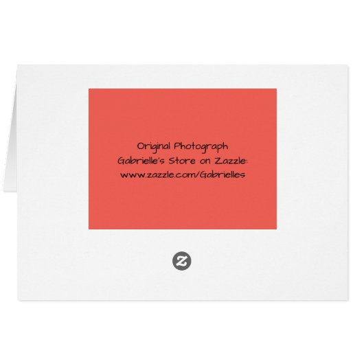 Carte de note Papillon Psaume 92:5 (Dos Horizontal)