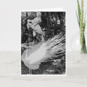 Carte de note Peacock Blanc<Blank Inside> (Devant)