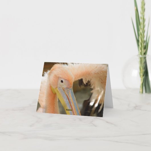 Carte de note Pelican (Dos)