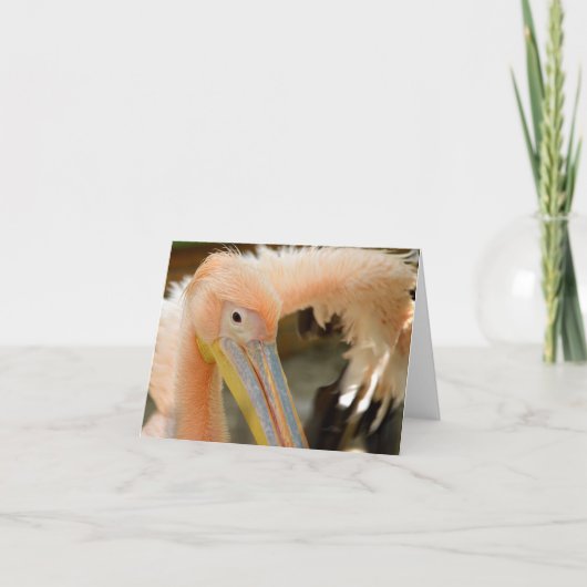 Carte de note Pelican (Devant)