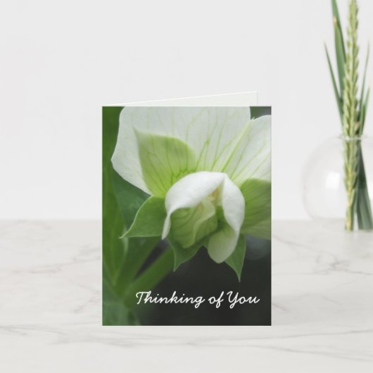 Carte de note personnalisable cachée de modèle de  (Devant)