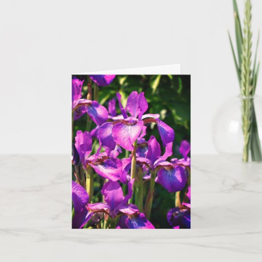 Carte de note personnalisable Iris Fleurs à billes (Devant)