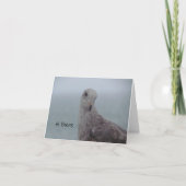 Carte de note Pigeon "Hi There" (Devant)