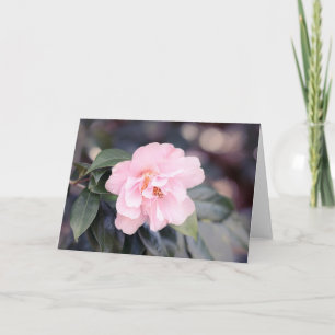 Carte de note Pink Camellia Japonica