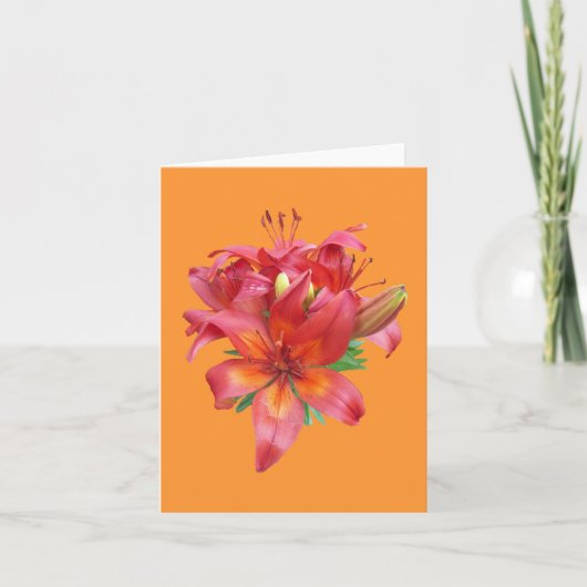 Carte de note Pink Daylily Photo Follot (Devant)