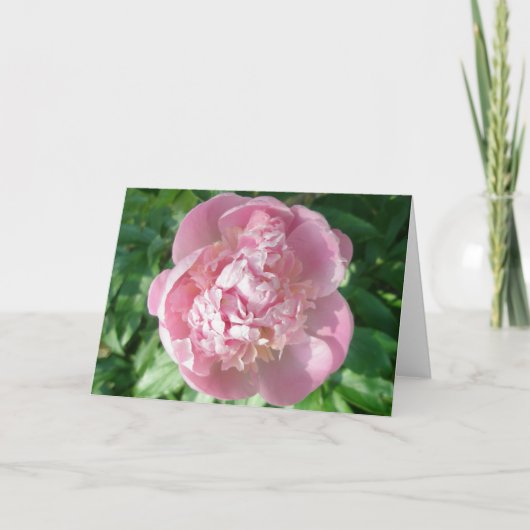 Carte de note Pink Peony (Devant)