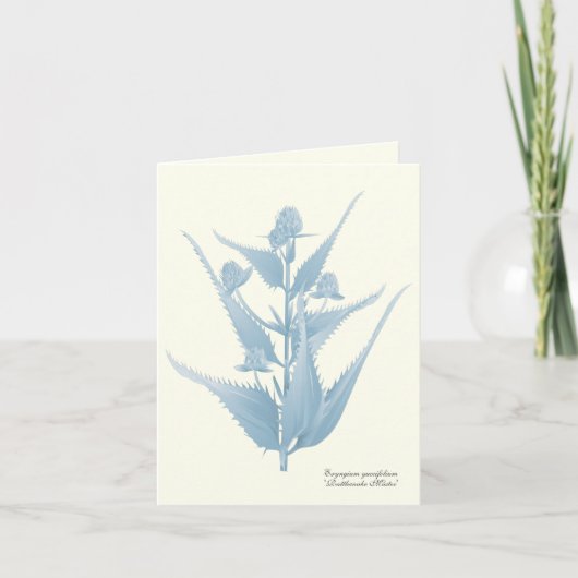 Carte de note Plante Master Prairie (Devant)