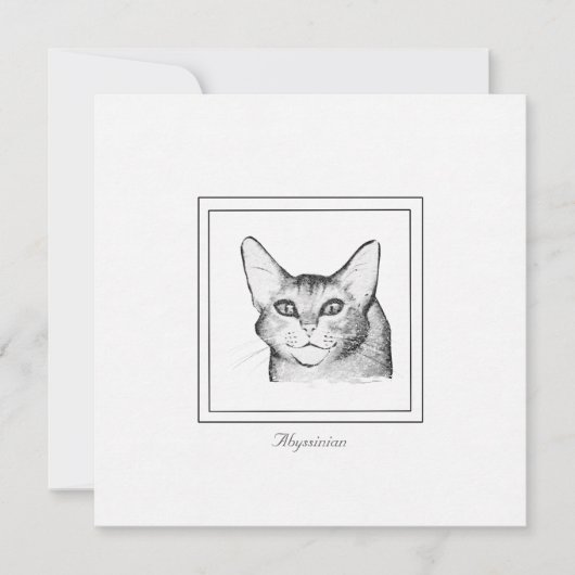 Carte de note plat de dessin de chat Abyssinian (Devant)