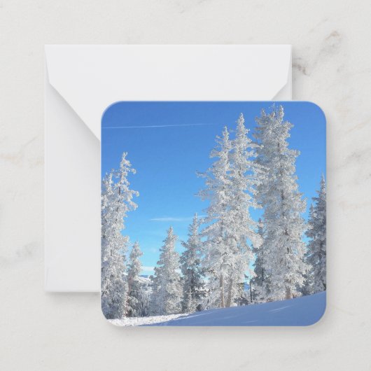 Carte de note plat des arbres d'hiver (Devant)