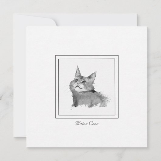 Carte de note plat du chat de coton du Maine (Devant)