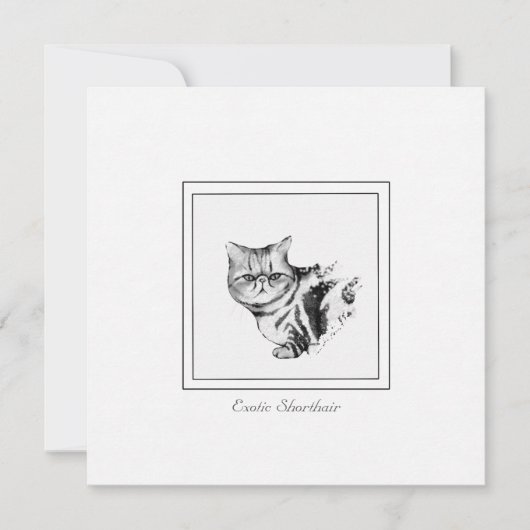Carte de note plat Exotique Shorthair Cat (Devant)