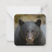 Carte de note plate de 6,4 cm x 6,4 cm (Devant)