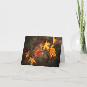 Carte de note pleurante d'automne