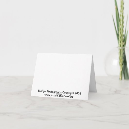 Carte de note pleurante d'automne (Dos)