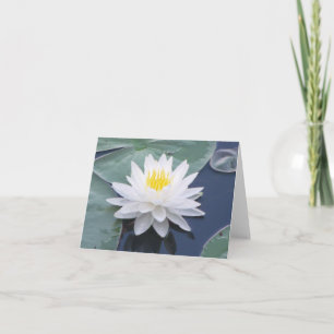 Carte de note pliée avec photo à l'eau blanche