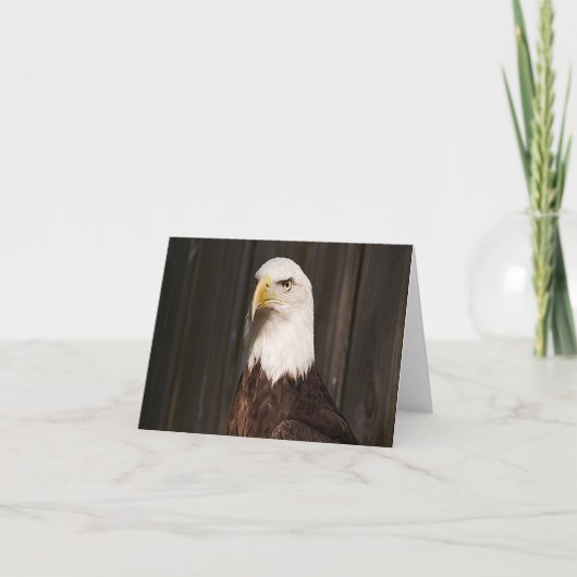 Carte de note pliée avec photo d'aigle à tête blan (Devant)