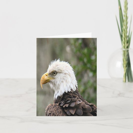 Carte de note pliée avec photo d'aigle à tête blan (Devant)