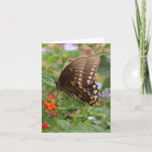 Carte de note pliée Brown Swallowtail Photo