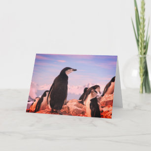 Carte de note pliée PENGUIN