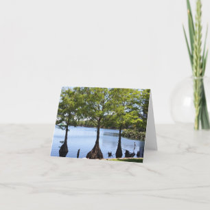 Carte de note pliée photo Cypress Trees