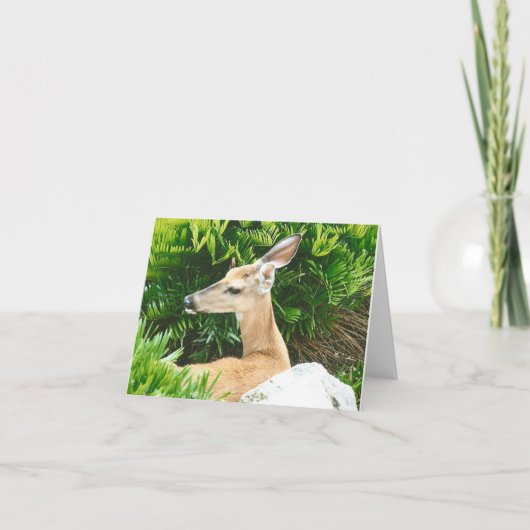 Carte de note pliée photo de cerf (Devant)