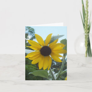 Carte de note pliée photo de tournesol mexicain