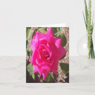 Carte de note pliée rose