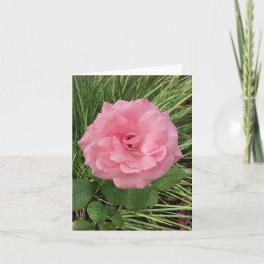 Carte de note pliée rose (Devant)