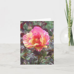 Carte de note pliée Rose à rayures roses
