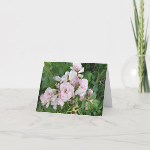 Carte de note pliée Roses roses