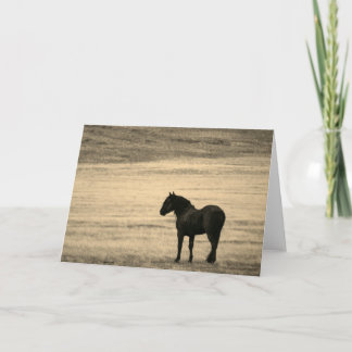 Carte de note pliée Stallion noir ONAQUI HERD UTAH
