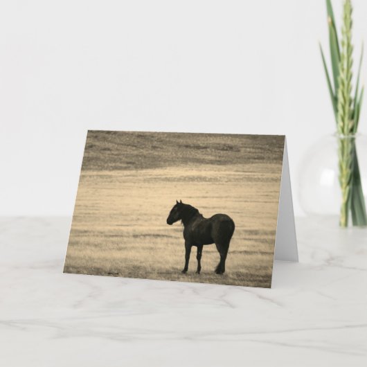 Carte de note pliée Stallion noir ONAQUI HERD UTAH (Devant)