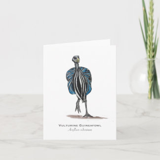 Carte de note pliée Vulturine Guineafowl