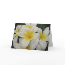carte de note - plumerias blancs