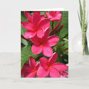 carte de note - plumerias roses