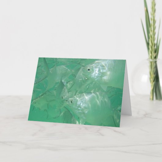 Carte de note Poisson Argent Angel, vierge à l'int (Devant)