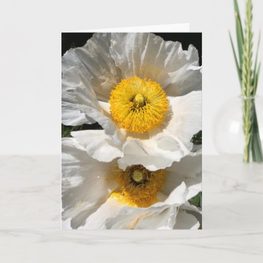 Carte de note Poppy Matilija<Blank Inside> (Devant)