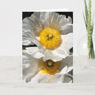 Carte de note Poppy Matilija<Blank Inside>