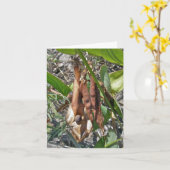 Carte de note Pots de graines de pois de plage (Fleur jaune)