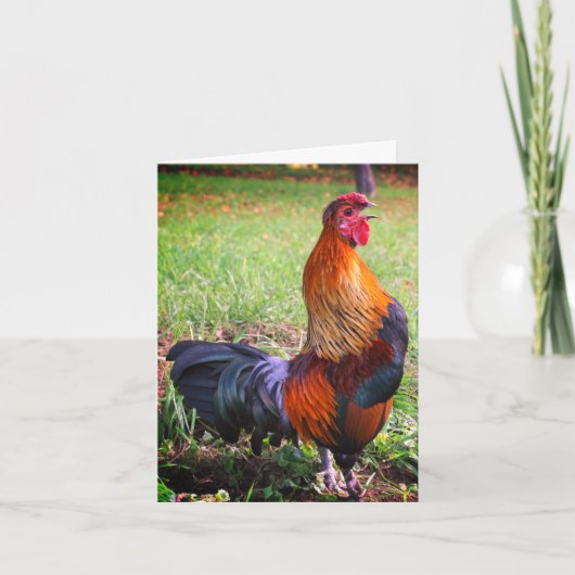 Carte de note pour animaux de ferme 2 Croisière de (Devant)