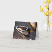 Carte de note pour canard à bois (Fleur jaune)