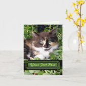 Carte de note pour chat écossais (Fleur jaune)