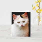 Carte de note pour chaton blanc (Fleur jaune)