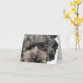 Carte de note pour chien de famille (Fleur jaune)