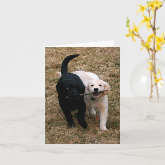Carte de note pour chiots noirs et blancs (Fleur jaune)