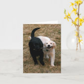 Carte de note pour chiots noirs et blancs (Fleur jaune)
